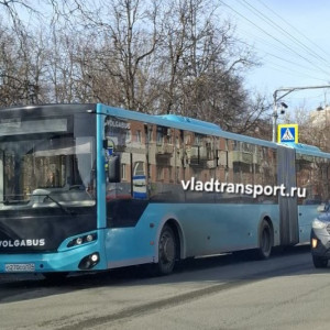 Во Владимире на маршрут вышел автобус-гармошка