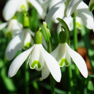 Во Владимирскую область в выходные придет океаническое тепло