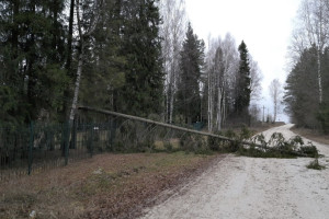 Владимирские энергетики устранили последствия разрушительного урагана