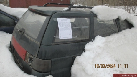 Во Владимире насчитали 17 «автоподснежников»