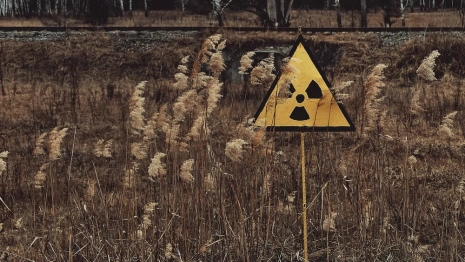 Во Владимире запретили стройку на месте радиомогильника у ВлГУ