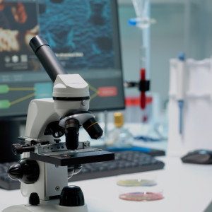 Во Владимирской области появилась возможность получить «Менделеевскую карту»