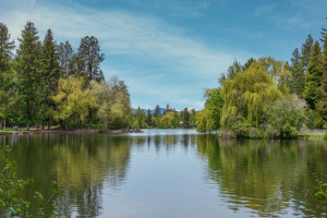 В Судогодском районе водолазы попросили помощи в поисках 51-летнего мужчины