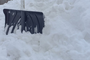 Во Владимире после снегопадов ощутили дефицит дворников
