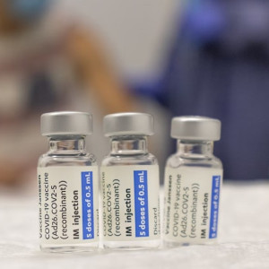 Во Владимирской области тренера оштрафовали за поддельный сертификат о вакцинации