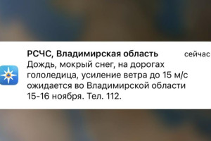 МЧС предупредило владимирцев о мокром снеге и гололедице 15 и 16 ноября