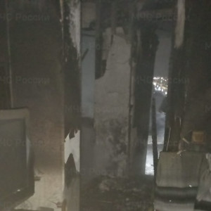 Во Владимире при пожаре спасли 3 взрослых и 2 детей