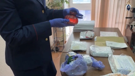 Во Владимире группа закладчиков вовлекла в преступление 16-летнюю девушку