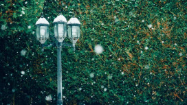 Прогноз погоды во Владимире и области на 19 апреля 2026 года