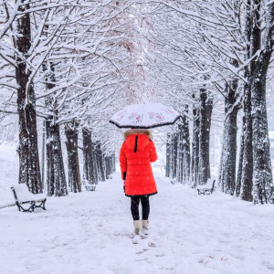 Прогноз погоды во Владимире и области на 18 февраля 2024 года