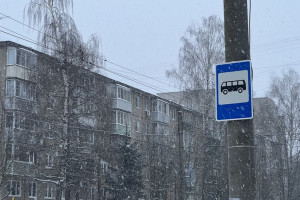 Метель накроет Владимирскую область 6 апреля