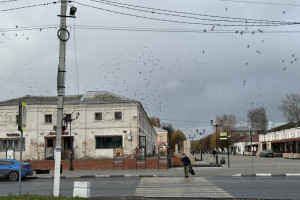 Прогноз погоды во Владимирской области на 20 сентября 2025 года