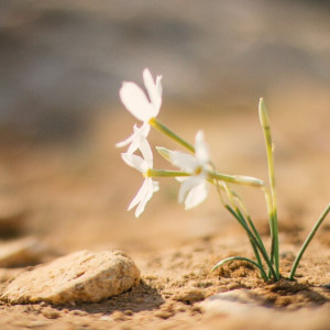 Прогноз погоды на 29 марта 2024 года во Владимире и области