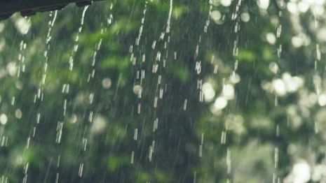 Прогноз погоды во Владимирской области на 19 августа