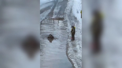 Во Владимире дети устроили бассейн в огромной луже