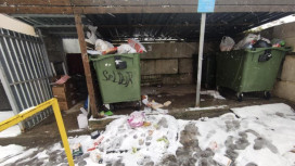 Владимир оказался завален мусором после новогодних праздников