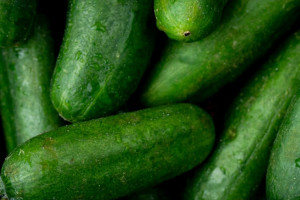 Эксперты внезапно опровергли мифы об огурцах и Суздале