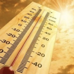 На юго-востоке Владимирской области ожидается 30-градусная жара