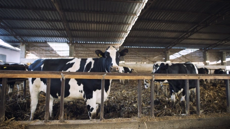 Власьев день: что можно и нельзя делать 24 февраля