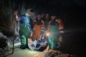 Под Владимиром нашли труп мужчины в болоте