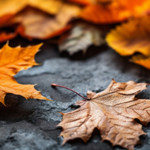 Прогноз погоды во Владимирской области на 7 ноября