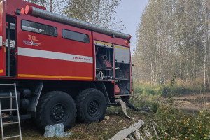 Владимирские спасатели потушили пожар у озера Гусинка