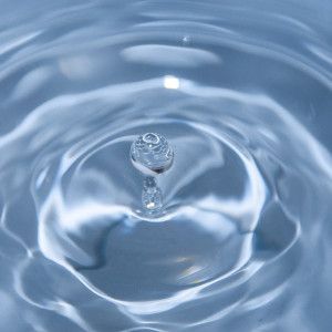 Во Владимирской области чиновники утаили данные о качестве воды