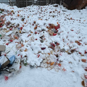 Во Владимире жители пожаловались на незаконную свалку