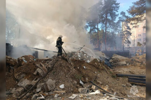 7 часов тушения и 20 сгоревших сараев и гаражей. Что известно о пожаре в Заклязьменском