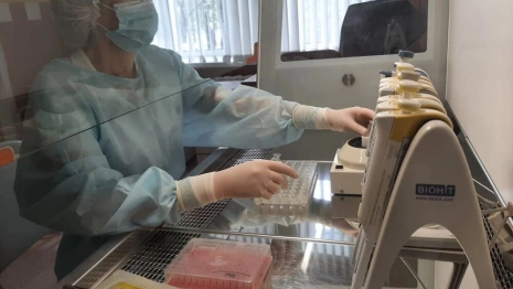 Во Владимирской области с людей сняли 14 зараженных вирусами клещей