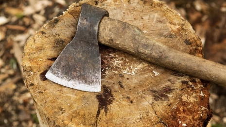 Жительницу Владимирской области будут судить за убийство знакомого обухом топора