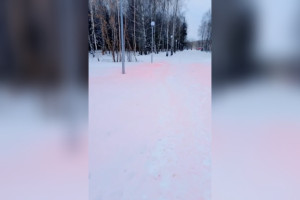 Снег в Добросельском парке во Владимире стал розовым