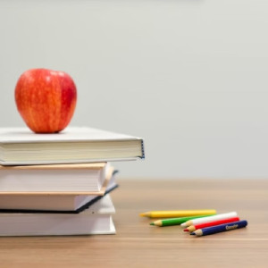 Во Владимире мать 7 детей пожаловалась на отказ школ принимать дочь в первый класс