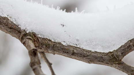 Прогноз погоды на 14 марта 2024 года во Владимире и области