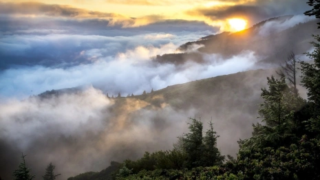 МЧС продлило до 25 августа неблагоприятный прогноз во Владимирской области