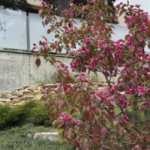 Прогноз погоды во Владимирской области на 21 мая 2025 года