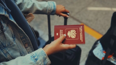 Двое владимирцев подыскивали фиктивных жен для мигрантов из СНГ