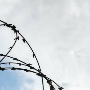 Жителя Владимирской области осудили на 9 лет за убийство соседки по даче