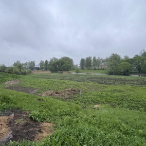 Чиновники из Суздаля попали под следствие за махинации с землей