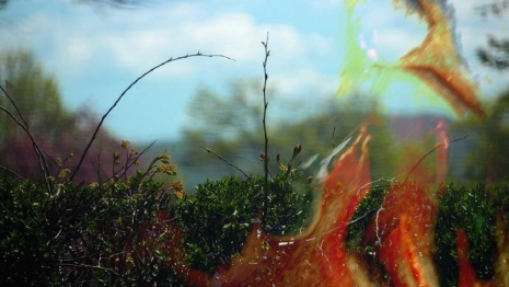 Во Владимирской области объявили 4 класс пожарной опасности 