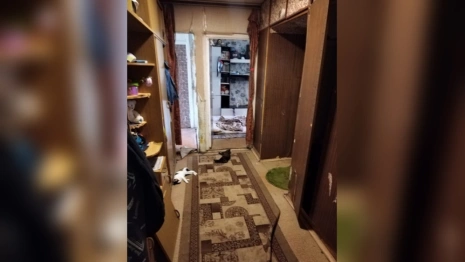 Вместе с семьей в Юрьев-Польском погибли кошки