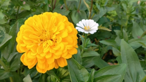 Прогноз погоды во Владимире и области на 15 июля