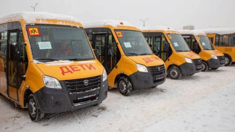 Школьные автобусы будут бесплатно ездить по платным трассам