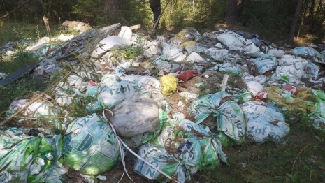 Владимирское министерство лесхоза через суд заставили очистить лес в Коврове от мусора