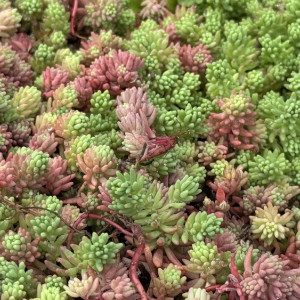 Прогноз погоды во Владимирской области на 6 августа 2025 года