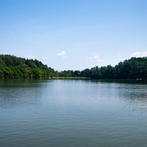 Владимирский губернатор рассказал Путину о хаусботах