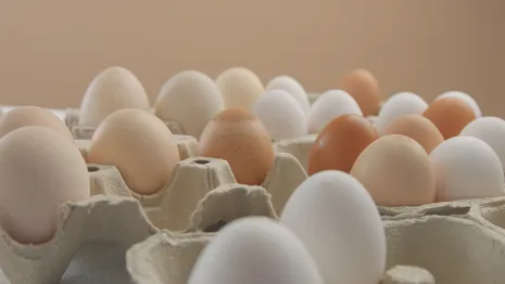 Во Владимире назвали минимальные цены на яйца в супермаркетах