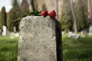 Чиновники из Петушков попали под суд из-за отсутствия санитарных зон для кладбищ