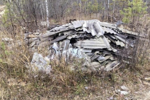 Во владимирском лесу выросла огромная стихийная свалка