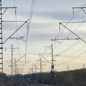 В Муроме с поезда сняли неадекватного пассажира